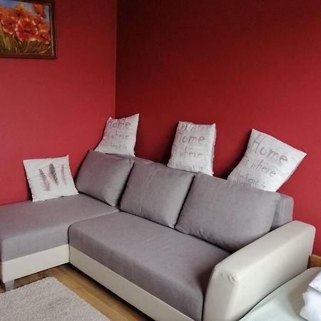 Komfortowy Apartament Dla Turystow I Pracownikow 格但斯克 外观 照片