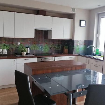 Komfortowy Apartament Dla Turystow I Pracownikow 格但斯克 外观 照片