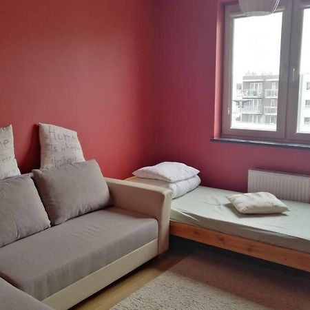 Komfortowy Apartament Dla Turystow I Pracownikow 格但斯克 外观 照片